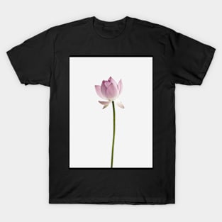 Flower print, Lotus, Pastel, Fashion print, Scandinavian art, Modern art, Wall art, Print, Minimalistic, Modern T-Shirt